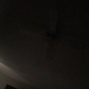 Meet your Posher, Sadie